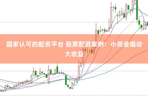 国家认可的配资平台 股票配资案例：小资金撬动大收益