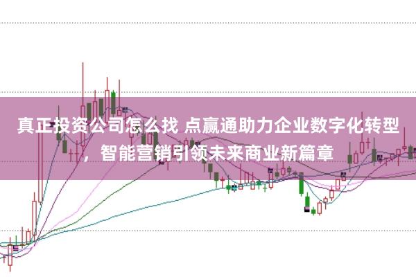 真正投资公司怎么找 点赢通助力企业数字化转型，智能营销引领未来商业新篇章