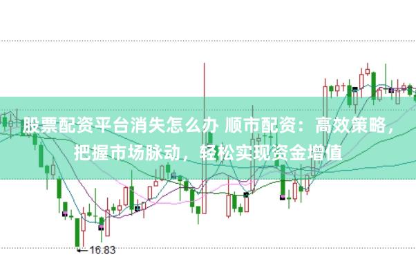 股票配资平台消失怎么办 顺市配资：高效策略，把握市场脉动，轻松实现资金增值