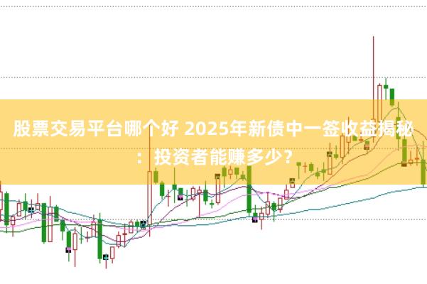股票交易平台哪个好 2025年新债中一签收益揭秘：投资者能赚多少？