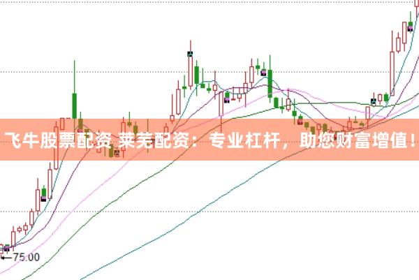 飞牛股票配资 莱芜配资：专业杠杆，助您财富增值！