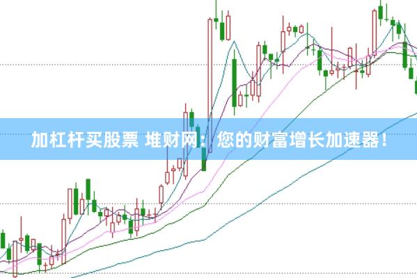 加杠杆买股票 堆财网：您的财富增长加速器！