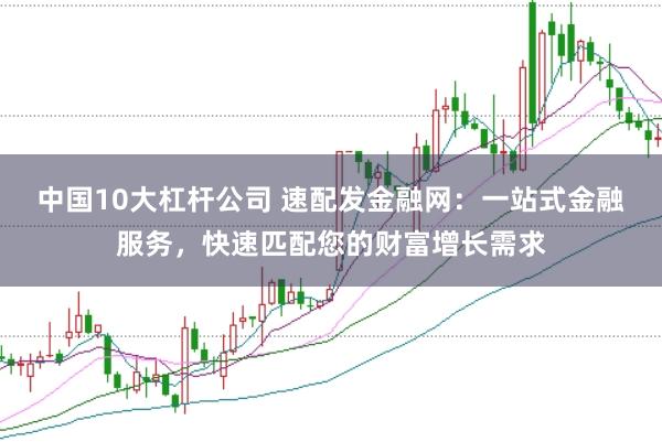 中国10大杠杆公司 速配发金融网：一站式金融服务，快速匹配您的财富增长需求