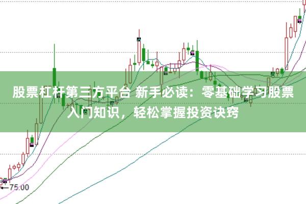 股票杠杆第三方平台 新手必读：零基础学习股票入门知识，轻松掌握投资诀窍