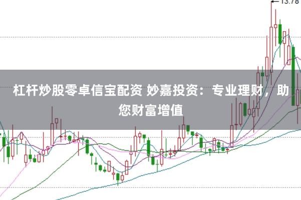 杠杆炒股零卓信宝配资 妙嘉投资：专业理财，助您财富增值