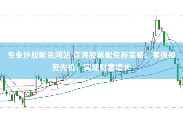 专业炒股配资网站 青海股票配资新策略：掌握投资先机，实现财富增长