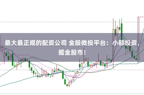 最大最正规的配资公司 金股微投平台:小额投资,掘金股市!