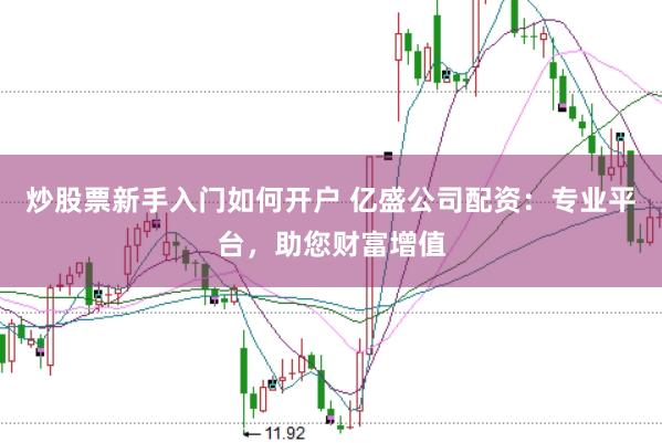 炒股票新手入门如何开户 亿盛公司配资:专业平台,助您财富增值