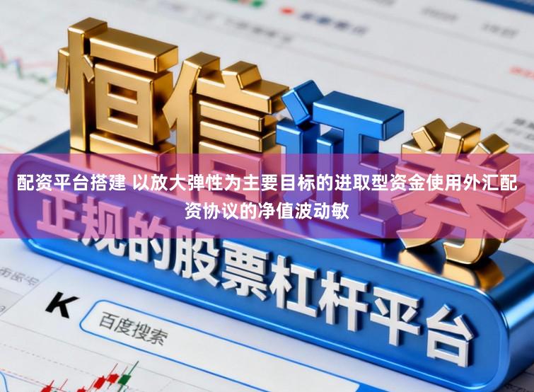 配资平台搭建 以放大弹性为主要目标的进取型资金使用外汇配资协议的净值波动敏