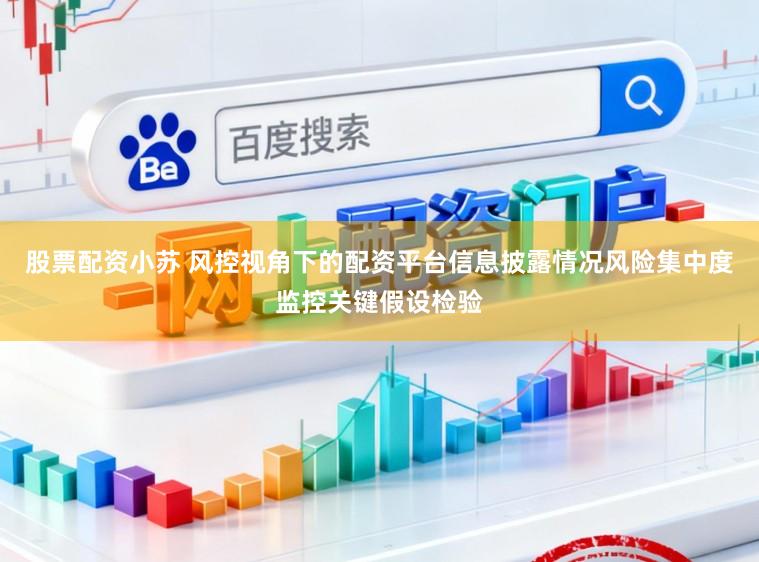 股票配资小苏 风控视角下的配资平台信息披露情况风险集中度监控关键假设检验