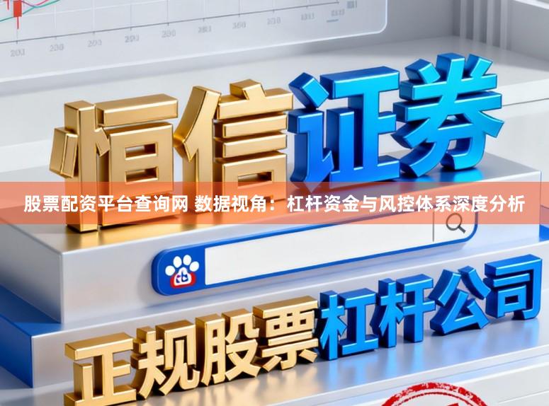 股票配资平台查询网 数据视角：杠杆资金与风控体系深度分析