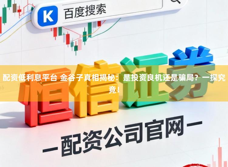 配资低利息平台 金谷子真相揭秘：是投资良机还是骗局？一探究竟！